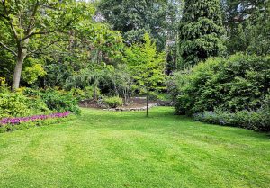 Optimiser l'expérience du jardin à La Chapelle-de-Bragny
